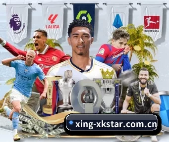 xing-xkstar.com.cn APP